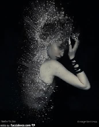gif animata