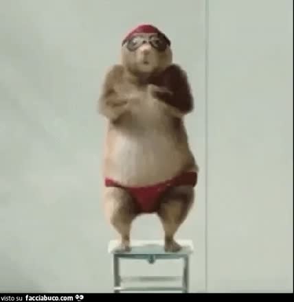 gif animata