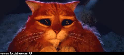 gif animata