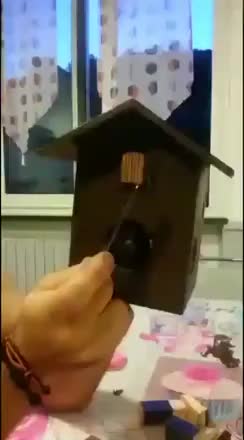 Gif Animata