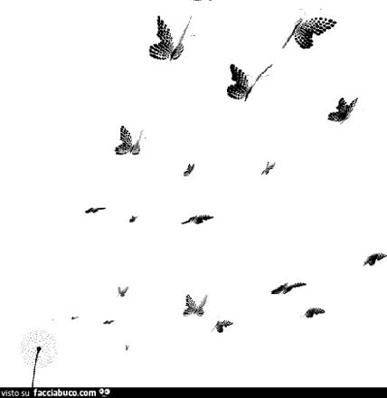 gif animata