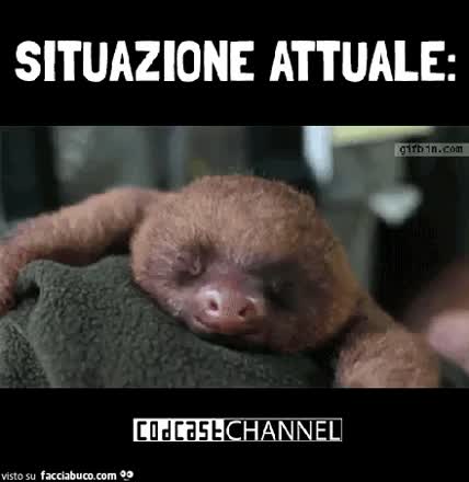 Gif Animata
