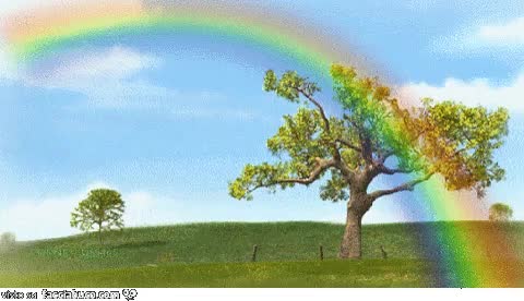 gif animata