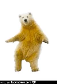 gif animata