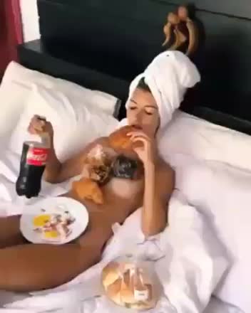 gif animata